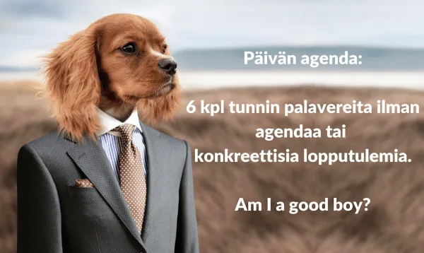Corporate puppy